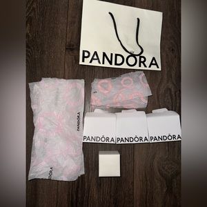 Pandora Gift Wrapping Bundle